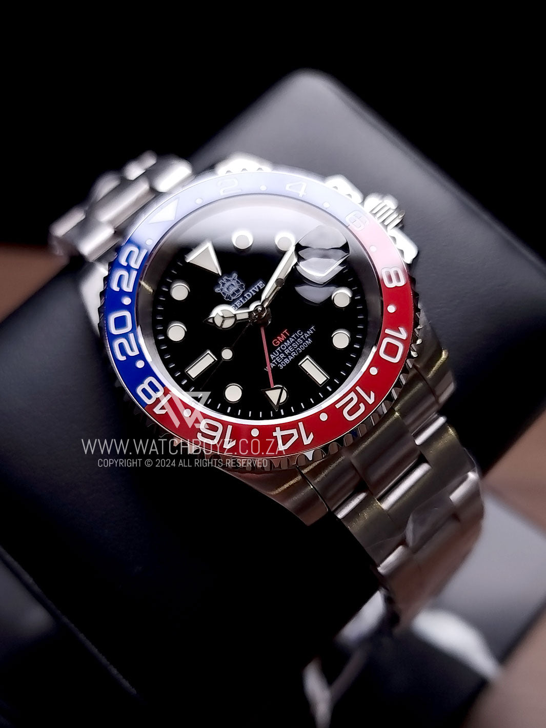 Steeldive SD1993 NH34 GMT Automatic 300M Diver V2